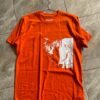 Ichigo T-shirt orange anime premium design