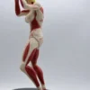 Figurines (98) Female Titan Figurine β Attack on Titan Shifter Collectible Statue